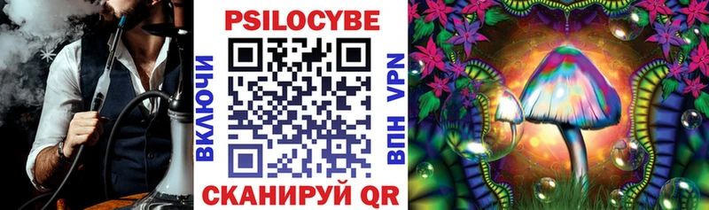 Галлюциногенные грибы Cubensis  omg ссылка  Камызяк 